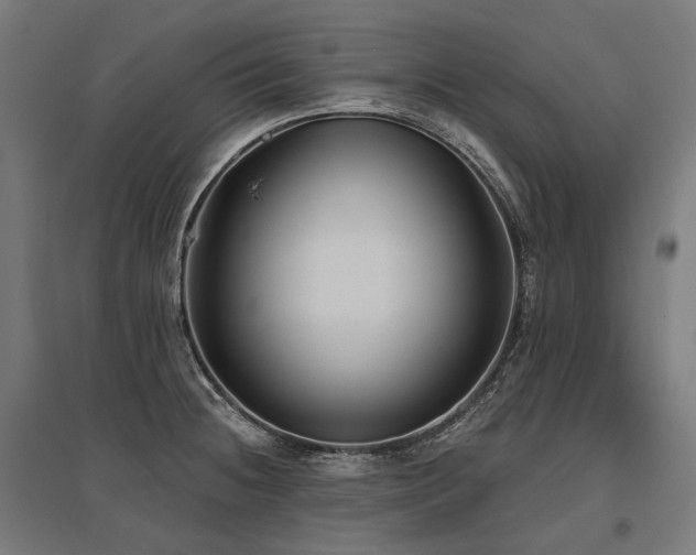 X0000096151236200801181155