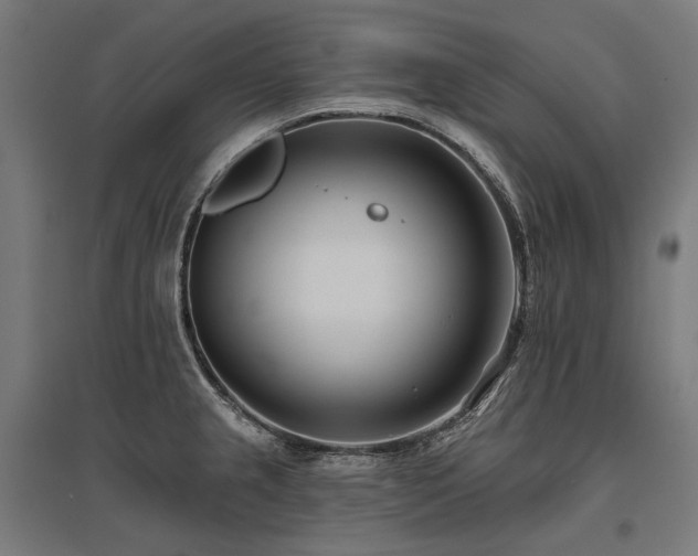 X0000096151237200801181155