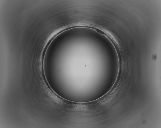 X0000096151238200801181155