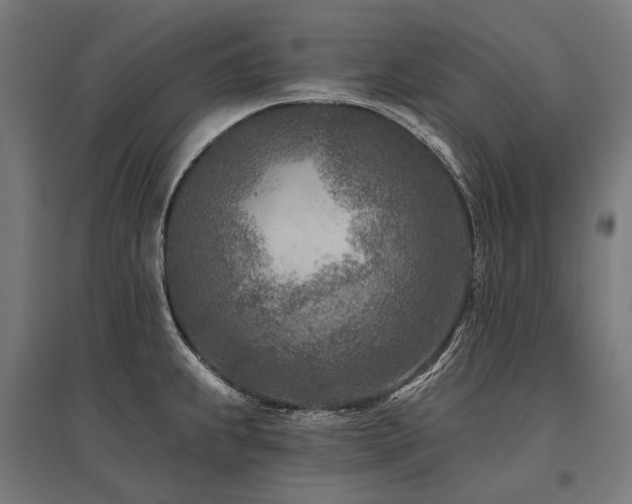 X0000096151239200801181155