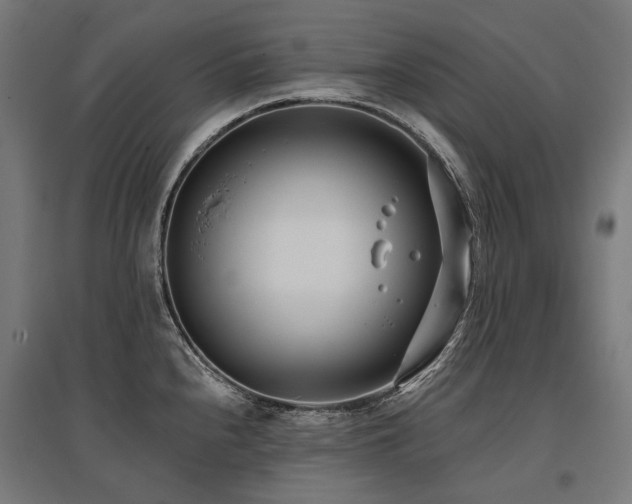 X0000096151240200801181155