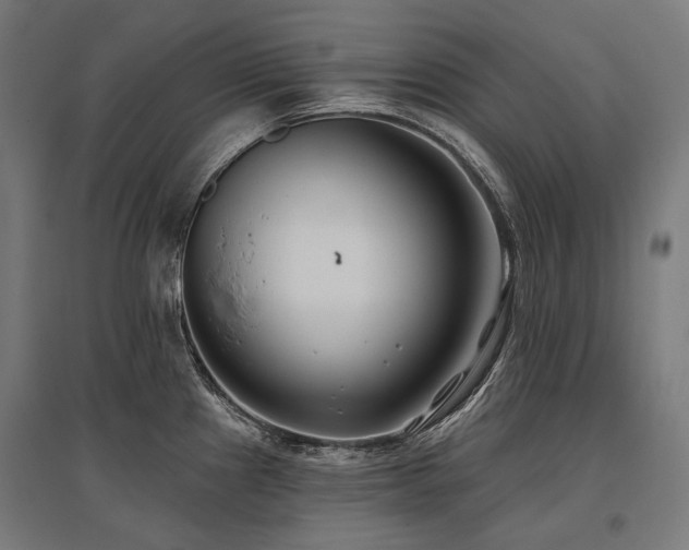 X0000096151241200801181155