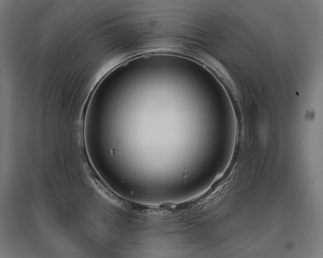 X0000096151242200801181155