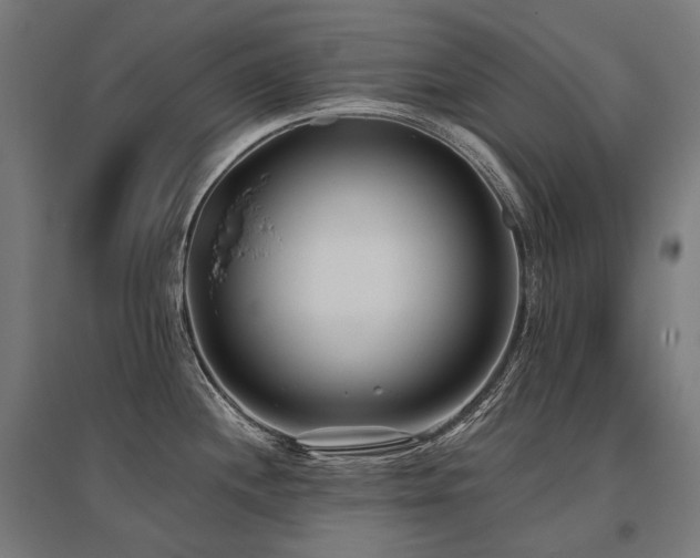 X0000096151244200801181155