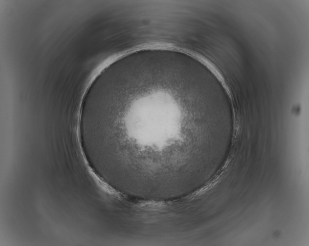 X0000096151245200801181155