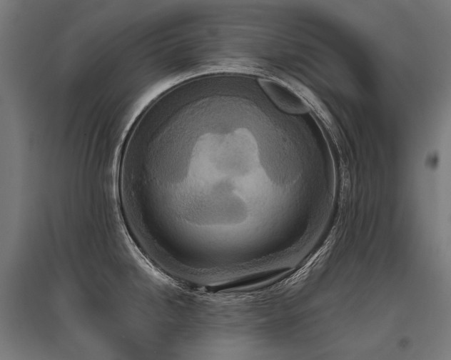 X0000096151246200801181155