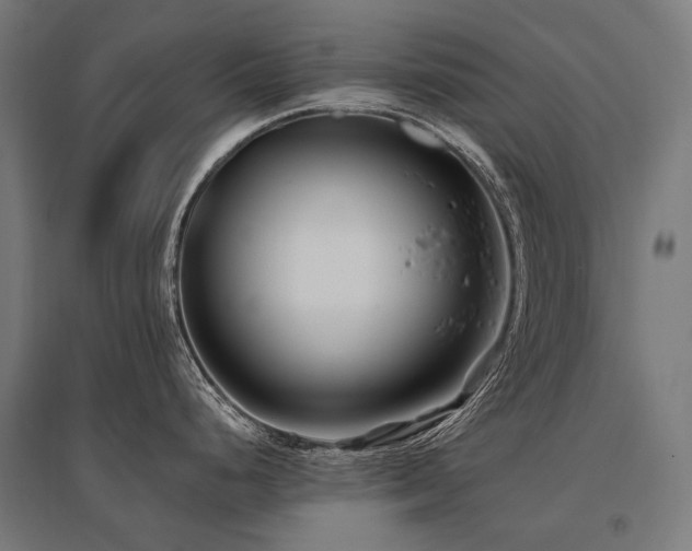 X0000096151248200801181155