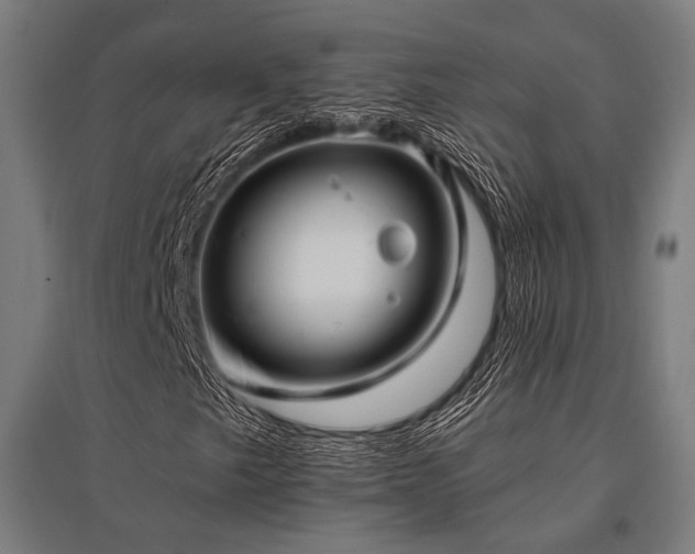 X0000096151249200801181154