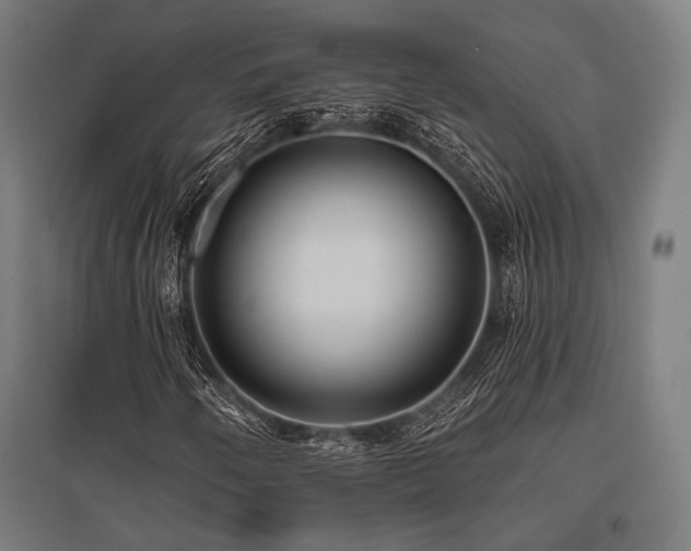 X0000096151250200801181154