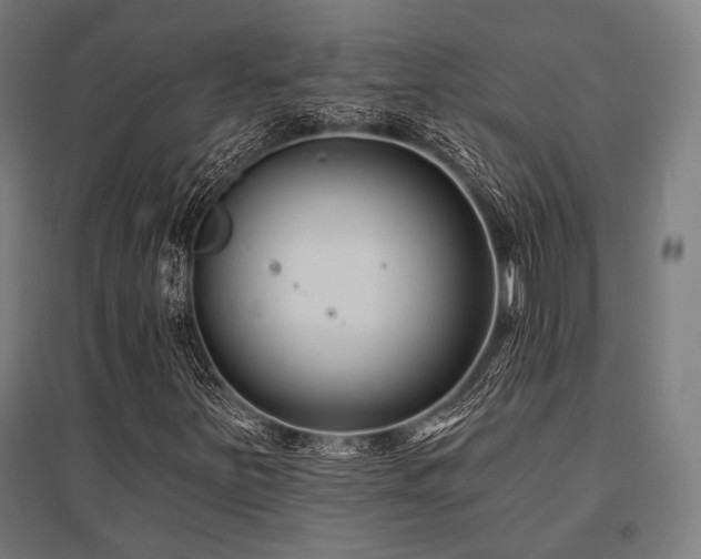 X0000096151251200801181154