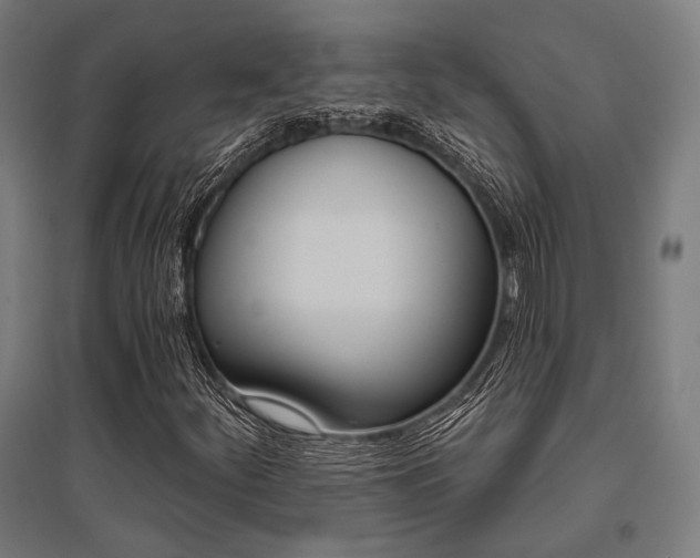 X0000096151252200801181154