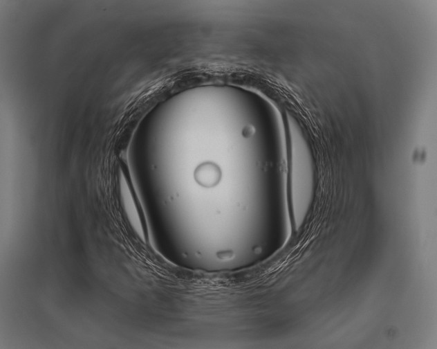 X0000096151253200801181154