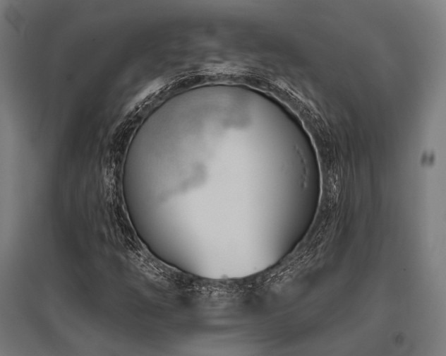 X0000096151254200801181154