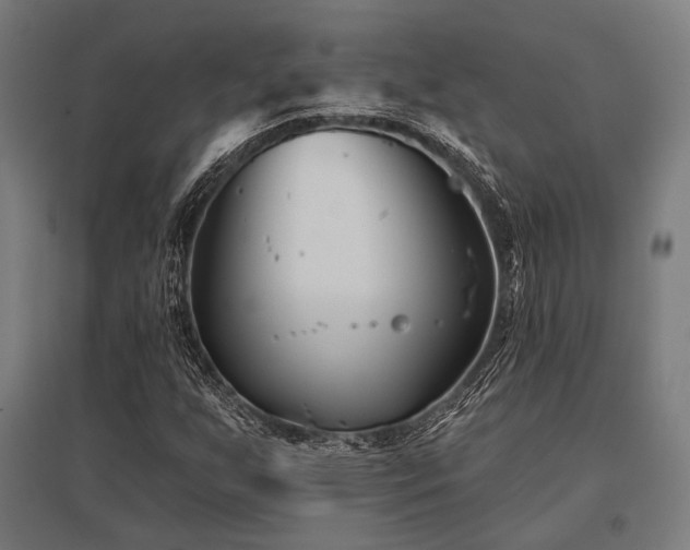 X0000096151255200801181154