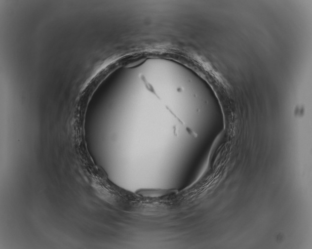 X0000096151256200801181154