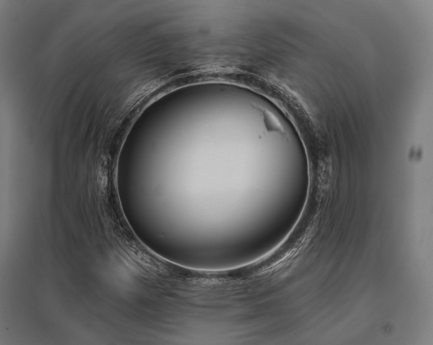 X0000096151257200801181154