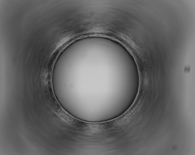 X0000096151258200801181154