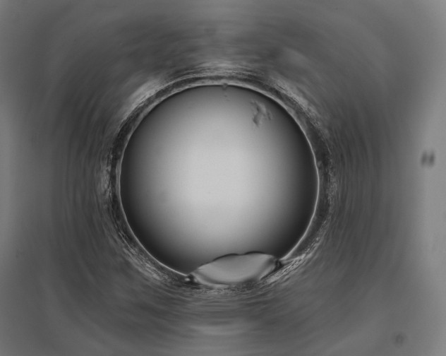 X0000096151259200801181154