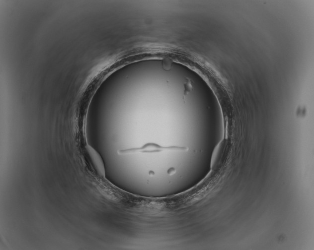 X0000096151261200801181154