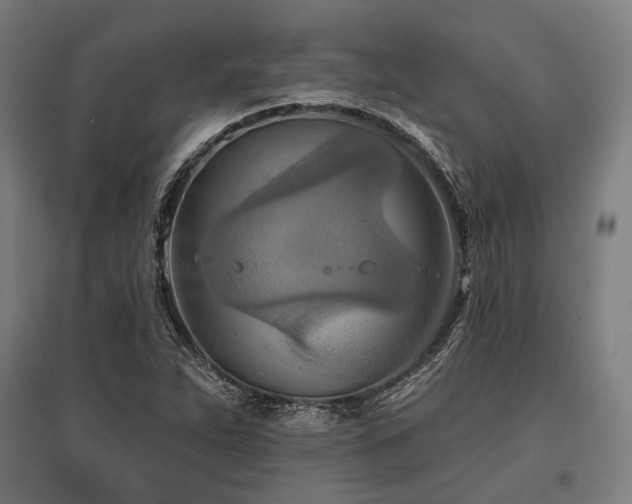 X0000096151263200801181154