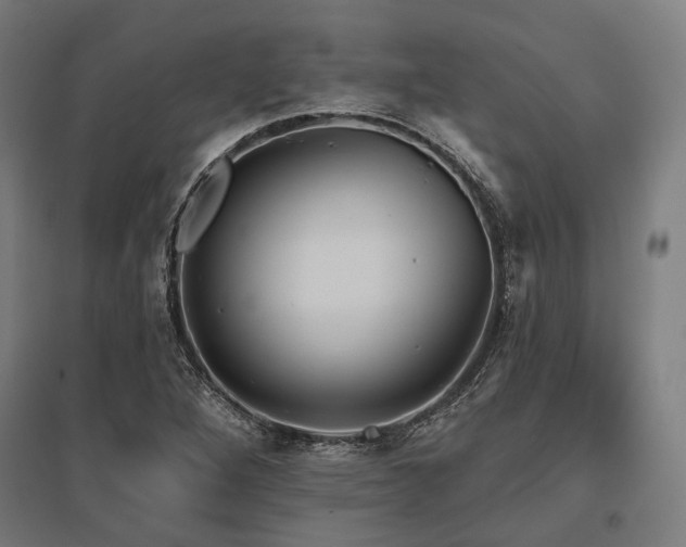 X0000096151264200801181154