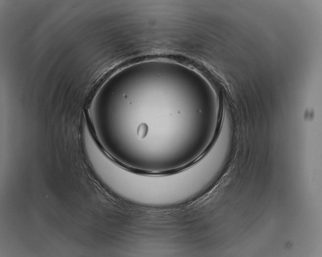 X0000096151265200801181154