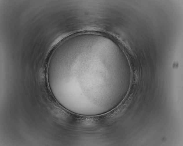 X0000096151266200801181154