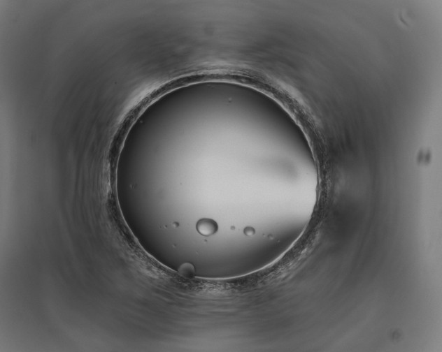 X0000096151267200801181154