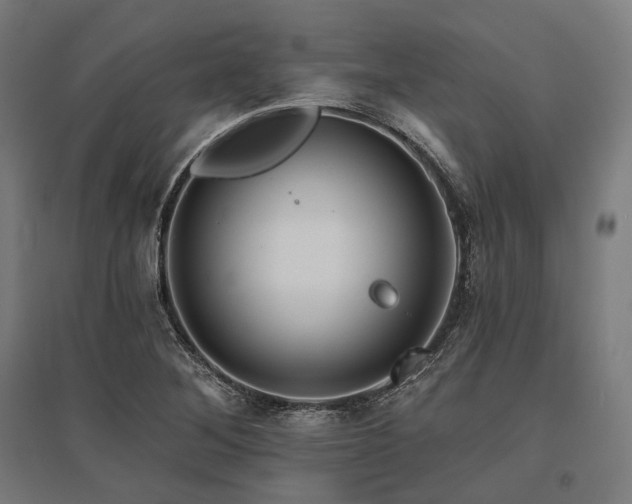 X0000096151268200801181154