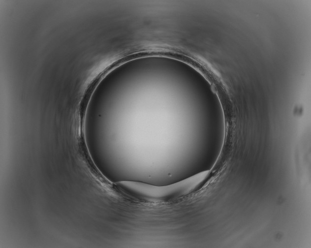 X0000096151269200801181154