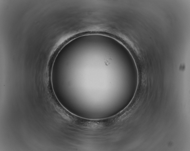 X0000096151270200801181154