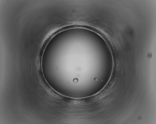 X0000096151271200801181154