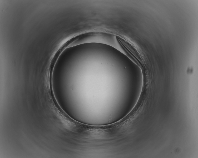 X0000096151272200801181154