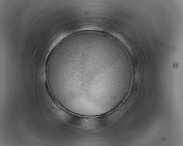 X0000096151274200801181154