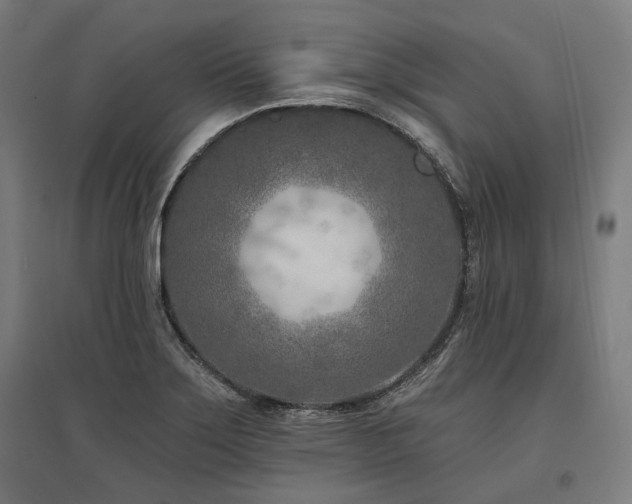 X0000096151275200801181154