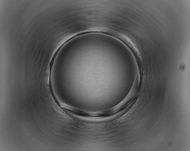 X0000096151276200801181154