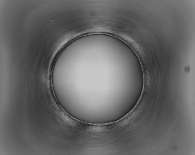 X0000096151278200801181154