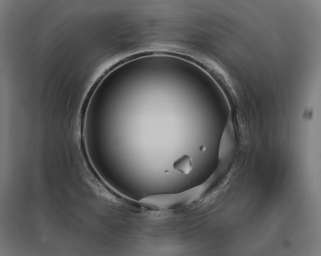 X0000096151280200801181154
