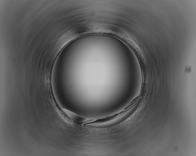 X0000096151281200801181154