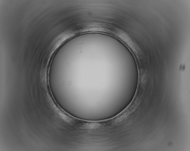 X0000096151282200801181154