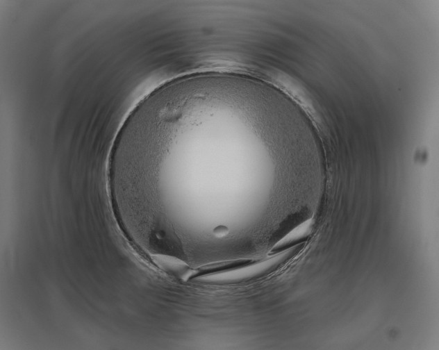 X0000096151283200801181154