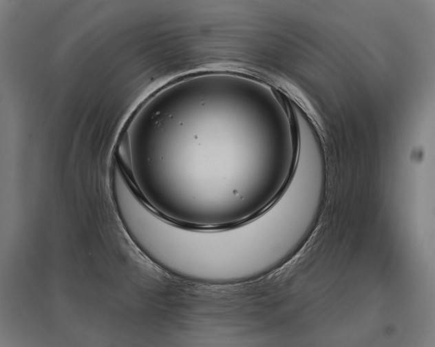 X0000096151284200801181154
