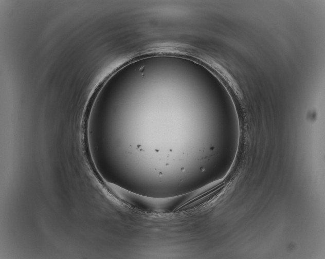 X0000096151285200801181154