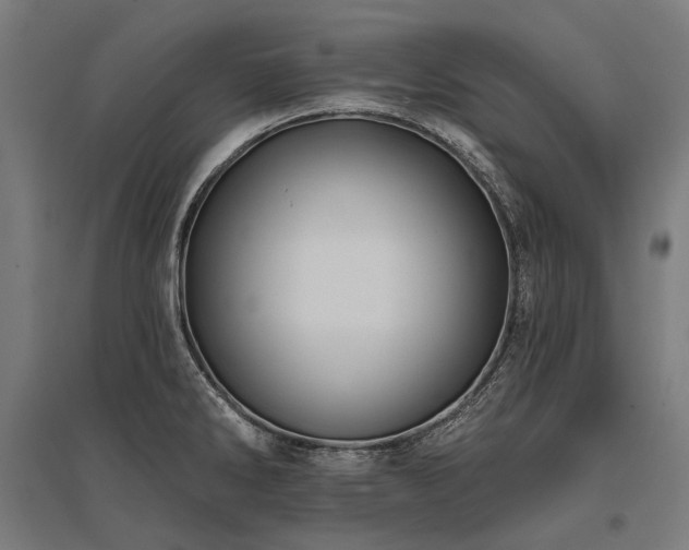 X0000096151286200801181154