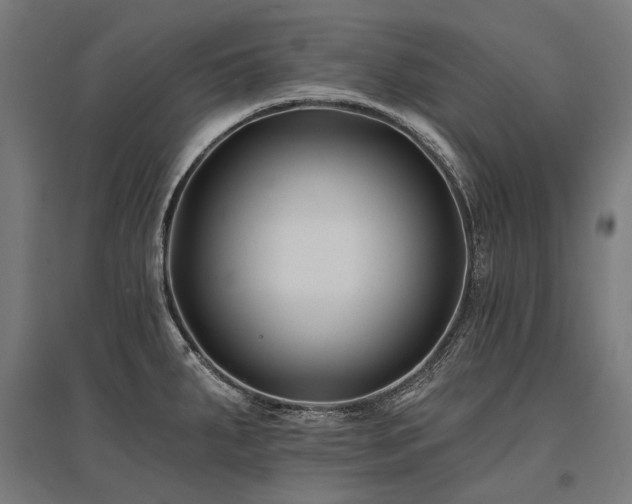 X0000096151287200801181154