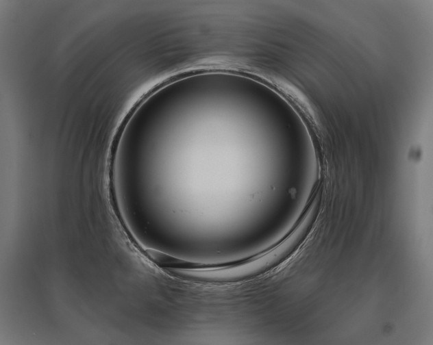 X0000096151288200801181154