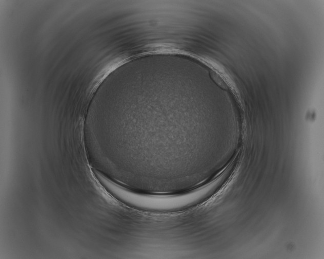 X0000096151289200801181154
