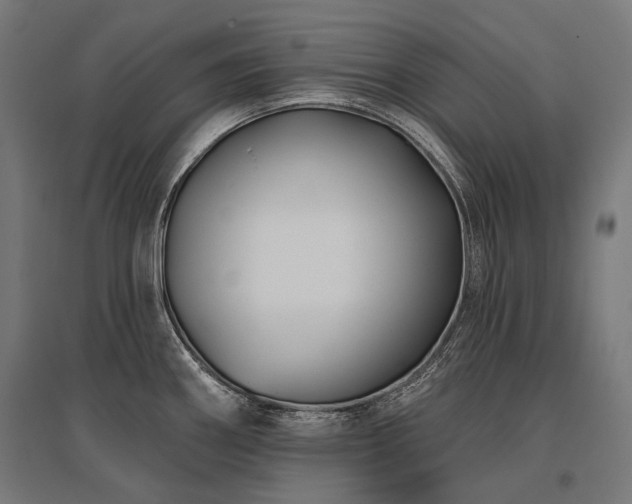 X0000096151290200801181154