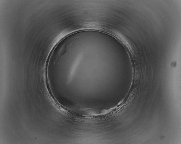 X0000096151291200801181154