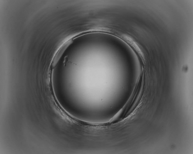 X0000096151292200801181154